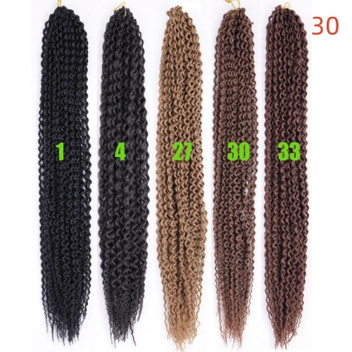 Wigs Long Curly Hair Black Wig Braids
