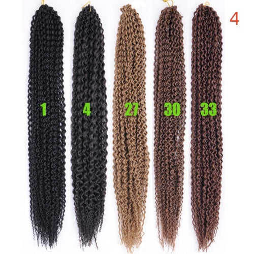 Wigs Long Curly Hair Black Wig Braids