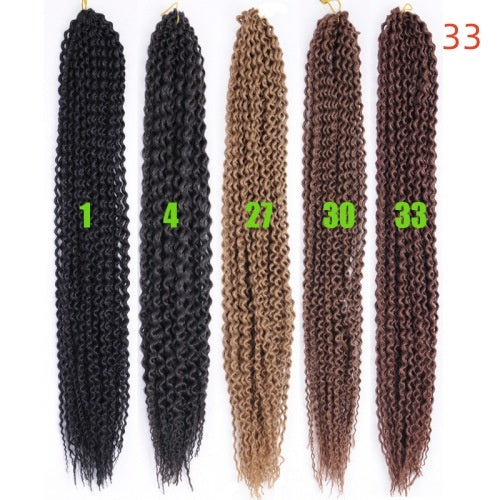 Wigs Long Curly Hair Black Wig Braids