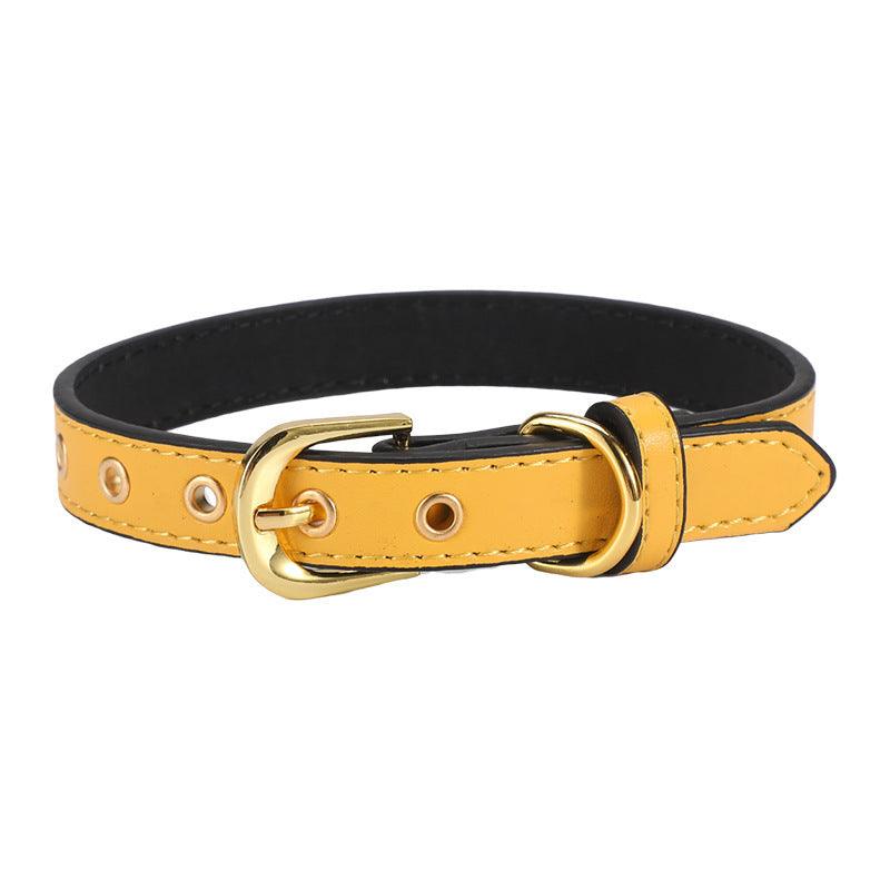 Plain Pet Collar Gold Buckle PU