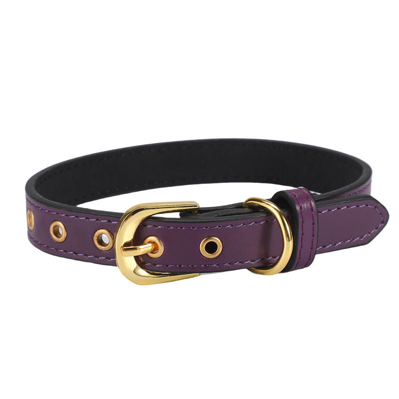 Plain Pet Collar Gold Buckle PU