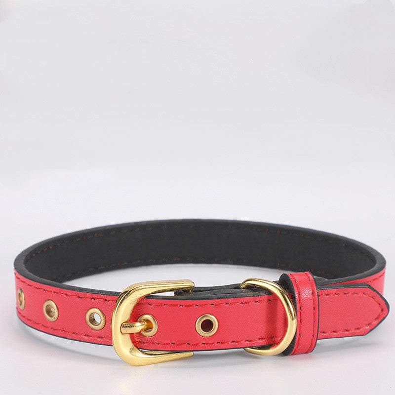 Plain Pet Collar Gold Buckle PU